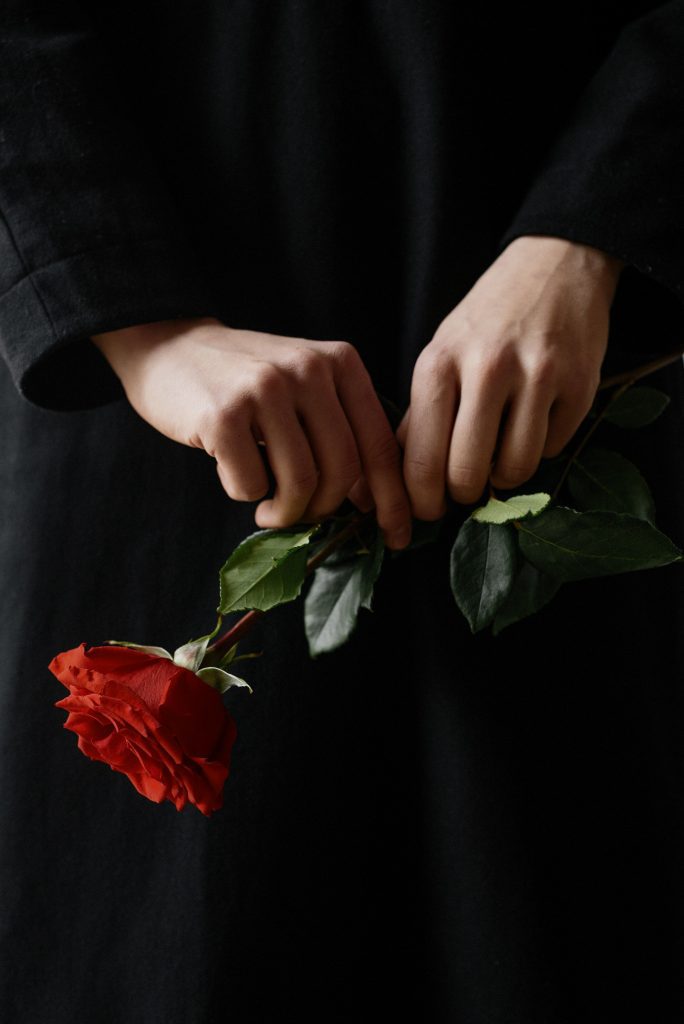 Red rose hands